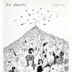 Don't Bite Your Nails