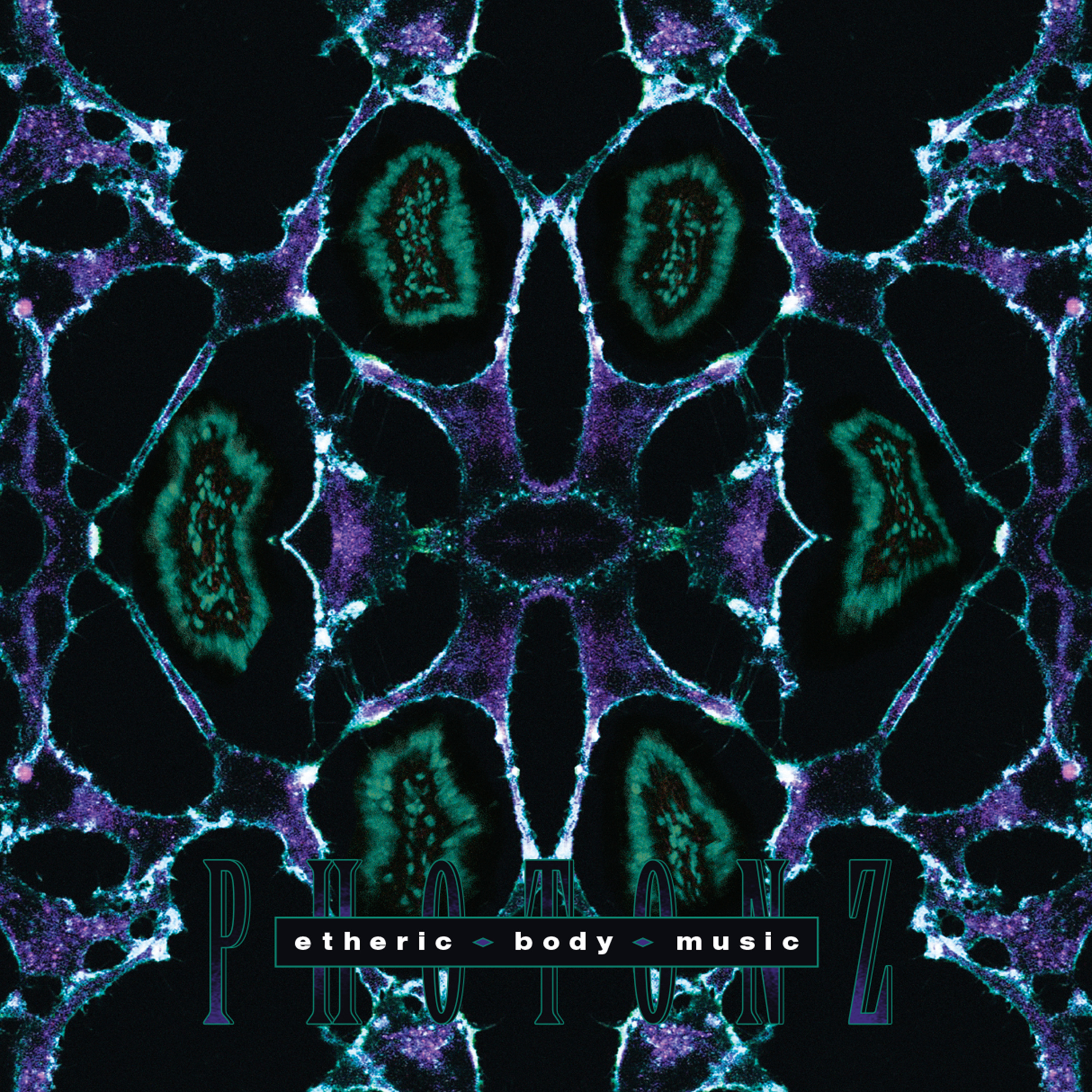 darkentriesrecords