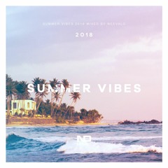 SUMMER VIBES 2018