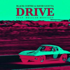 Black Coffee & David Guetta - Drive Feat. Delilah Montagu (Osky Remix) [Ultra Music]