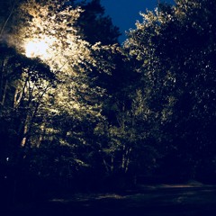 Mari Mostro & ZayDoe - Blue Callaway Prod. NISIONTHETRACK