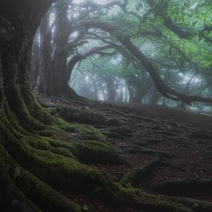 psybient / ambient / downtempo / chillgressive