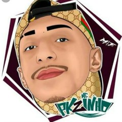 MC PKZINHO - CHEGO SUA VEZ DE CHORAR