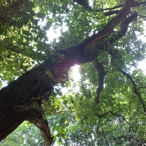Floating In The Breeze (part 1)
