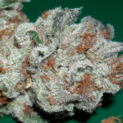 Melodist - High Grade - Free Download