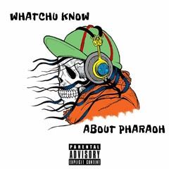 Choice Is Yours Remix-Produced By:Lobotomize