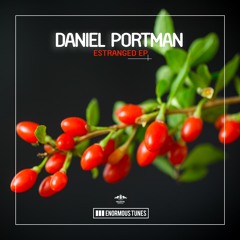 Daniel Portman - Estranged