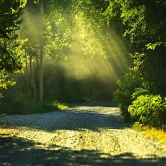 天界の鼓動/Celestial Beating