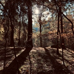 Fairy Tales [deep house/melodic techno set]