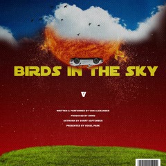 Birds In The Sky (prod. DMND)