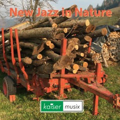New Jazz In Nature By Kaiser Musix