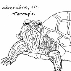 Terrapin