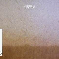 Lycoriscoris - Walls