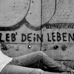 Leb Dein Leben (Tekk Remix)