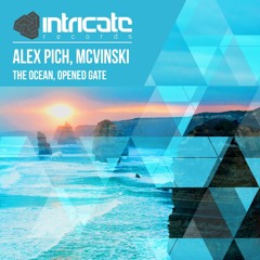 Alex Pich & Mcvinski - Opened Gate [Intricate Records]