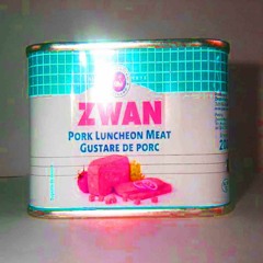 The Dali Zwan - Mary Star Of The Sea (Jz Knights Mix)