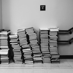 Çevirmenin Künyesi - Seda Ersavcı