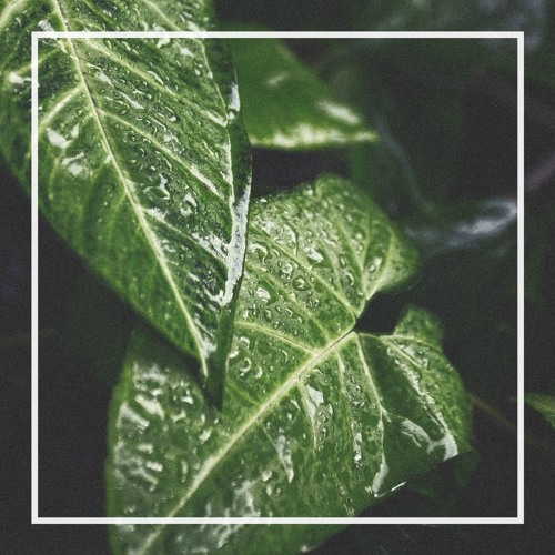 it takes time (w/ nedim š.)