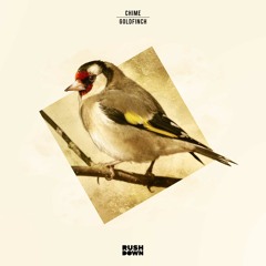 Chime - Goldfinch