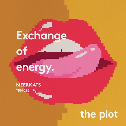Meerkats - White Dynamite