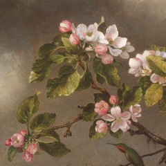 My Thoughts Are Like Cotton Candy They Fall Apart In My Mouth