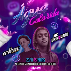 MC BRINQUEDO - ÁGUA COLORIDA [[ DJ GABRIEL DO BOREL ]]