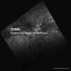 THNK - Control The Night (Original Mix)