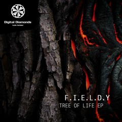 F.I.E.L.D.Y Feat. Mo Libretto - The Hauptbahnhof [DigitalDiamonds058] | WAV Download