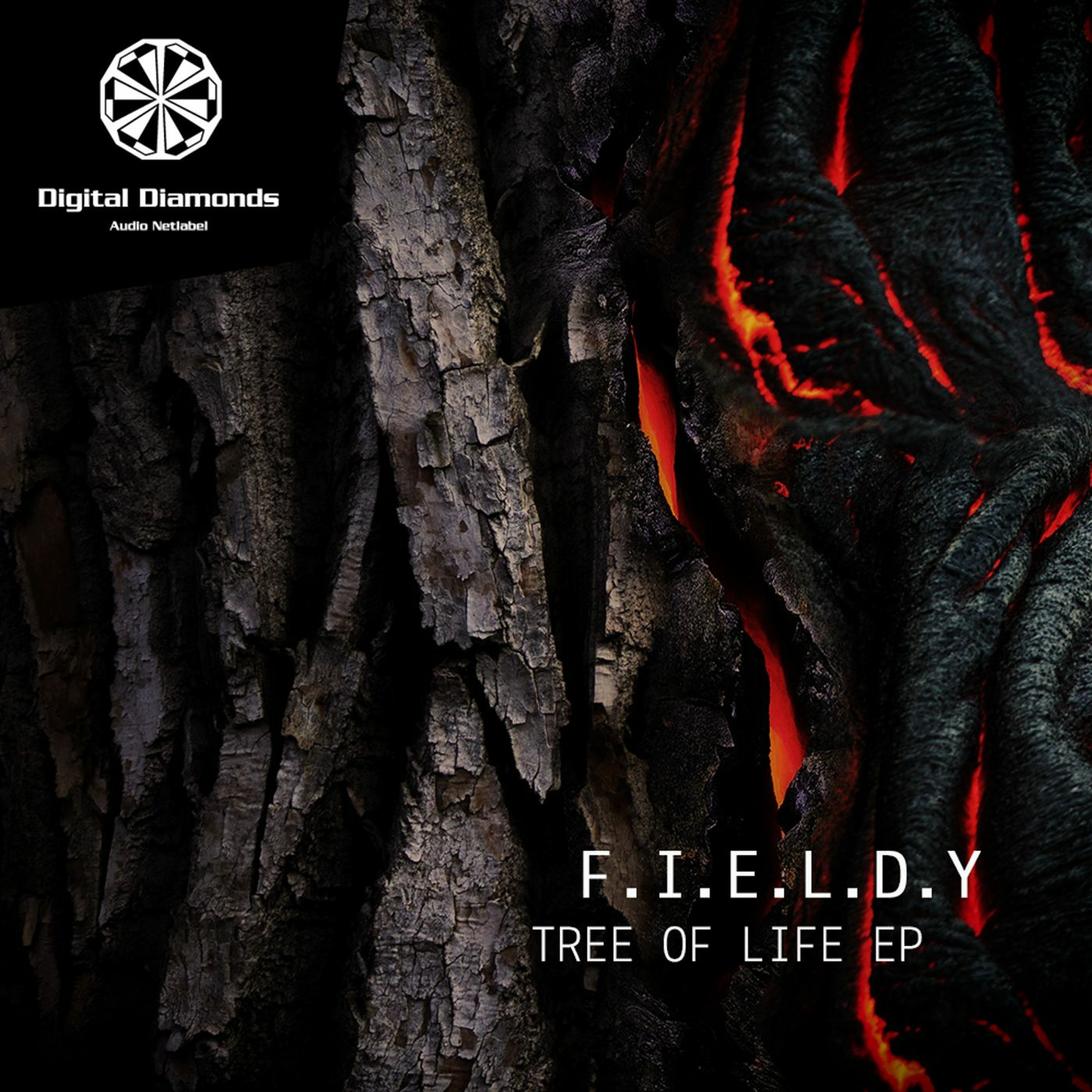 F.I.E.L.D.Y - The Dragon [DigitalDiamonds058] | WAV Download episode artwork
