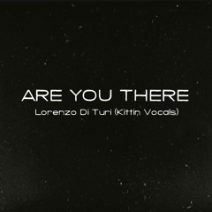 Are You There (Kittin Vocals)