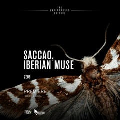 PREMIERE: Saccao, Iberian Muse - Zeus (Original Mix) [Beatfreak]