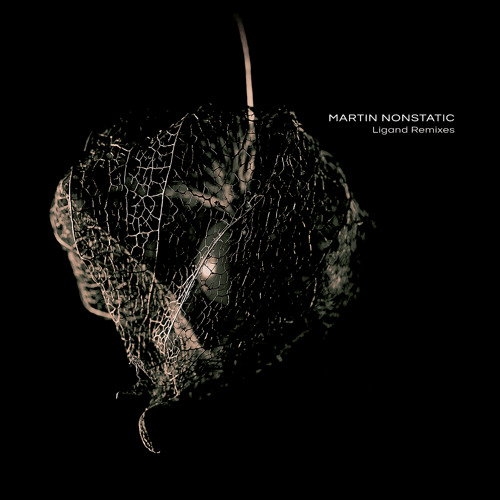 MARTIN NONSTATIC | Parabolic View (Scann-Tec Remix)