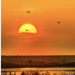 Morning sun (freestyle)