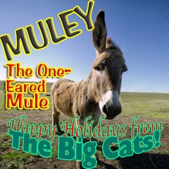 Muley The One-Eared Mule