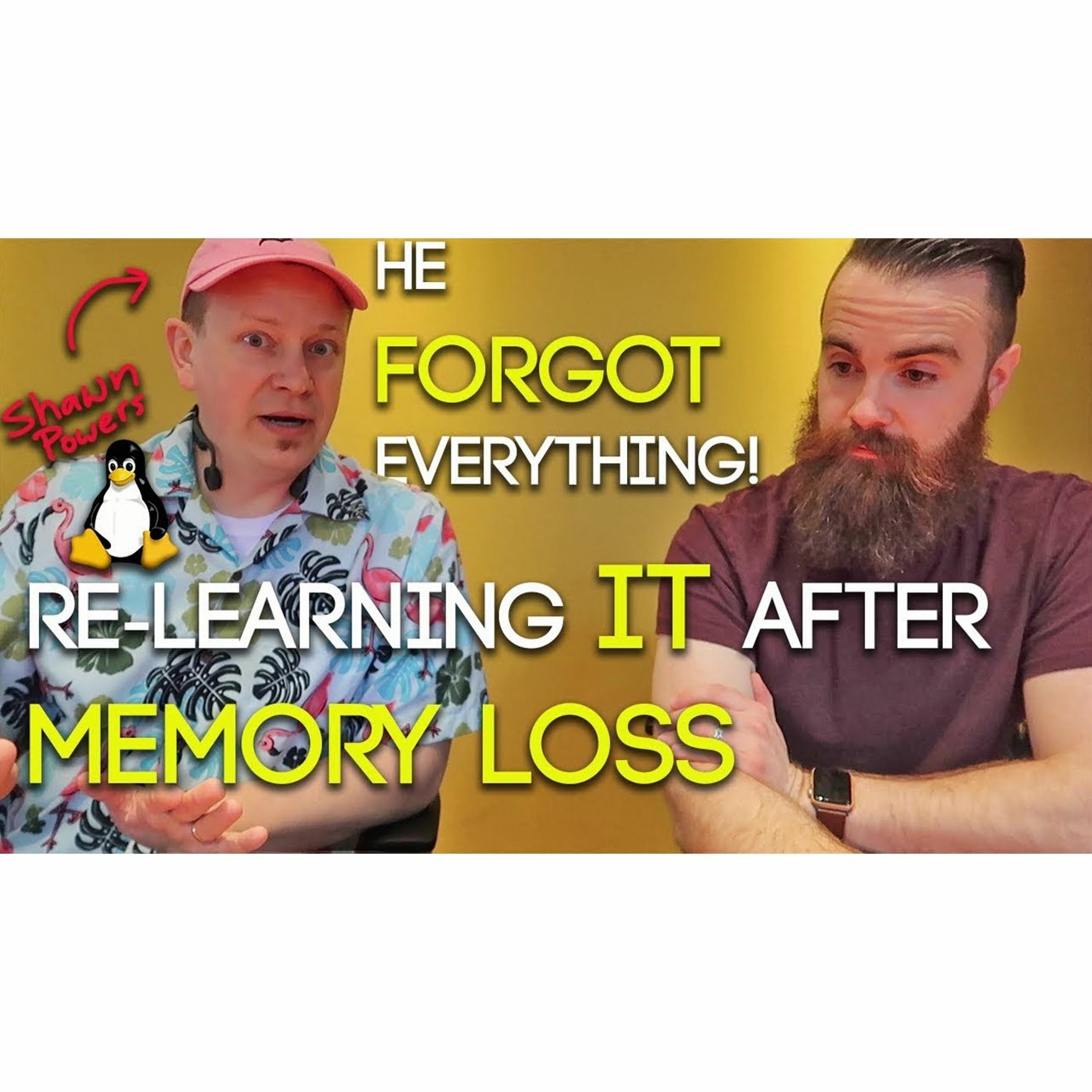 noobs // a NetworkChuck Podcast