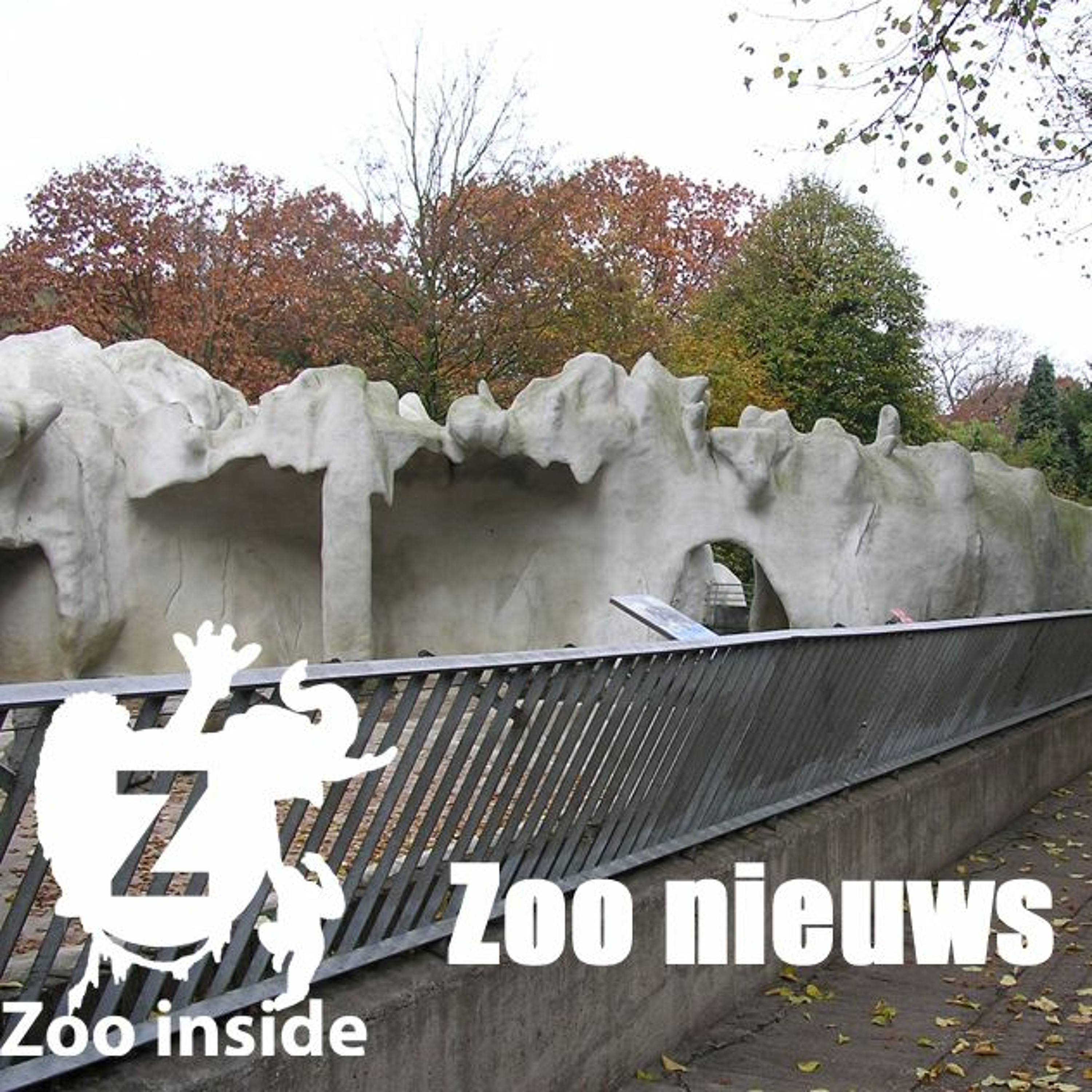 Zoo Inside -Aflevering 4 episode artwork