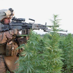 1900's Propaganda and Hash