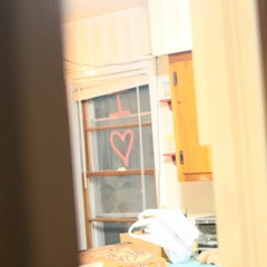 Apricot Blush - This House Still Sings - Pablo Bootleg 2.23.18