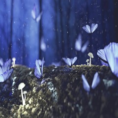 Snow Butterflies in Our Warm Attic