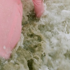 inside a car at the bottom of the lake