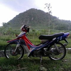 cek bass