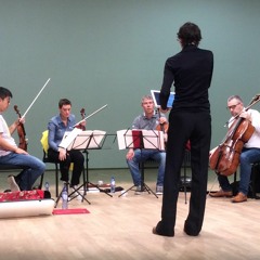 Annelies van Parys - Come fiume Incessante (2016wp)