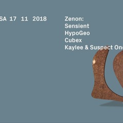 Zenon Records night -  Elysia Basel - KAYLEE & Suspect one - PLAYDIFFERENTLY