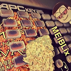 MEiBLix - LSDExperience (Prv)