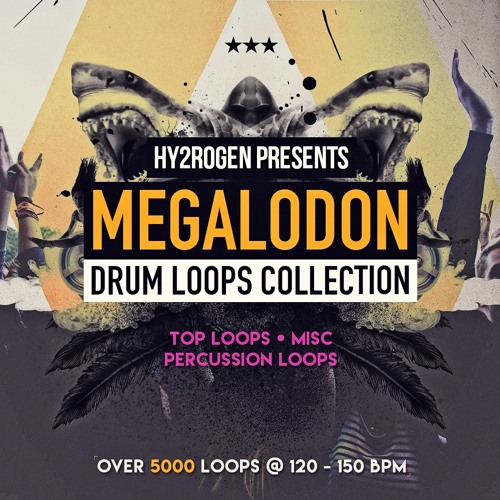 Hy2rogen Megalodon Drum Loops Collection WAV-DISCOVER