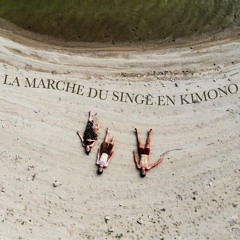 La marche du singe en kimono