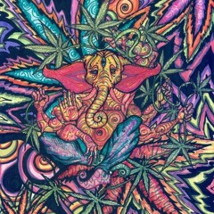 JUNGLE ROLLERS MIX  2