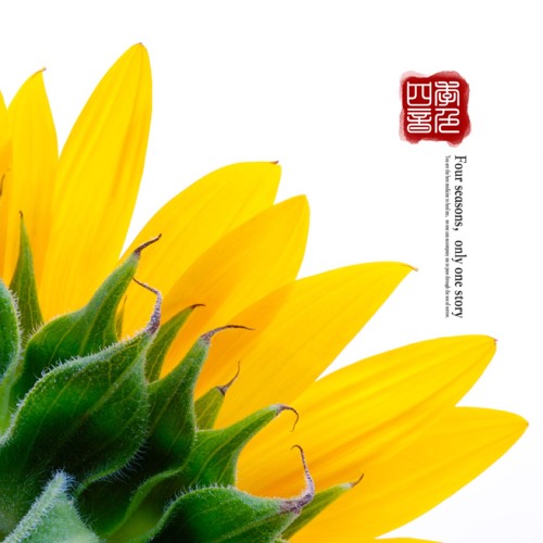 Stream Yukinoshita Coldshine | Listen to 四季音色playlist online