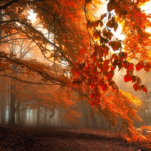 Autumn playlist