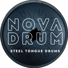 Steel tongue drum